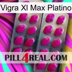 Vigra Xl Max Platinum 10